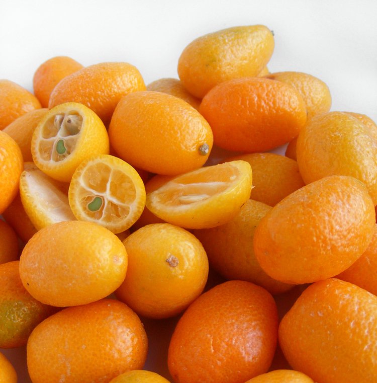 Kumquat