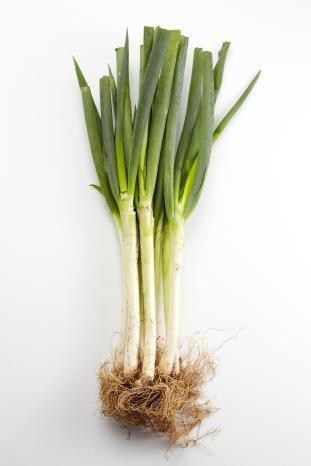Scallion (spring onion)