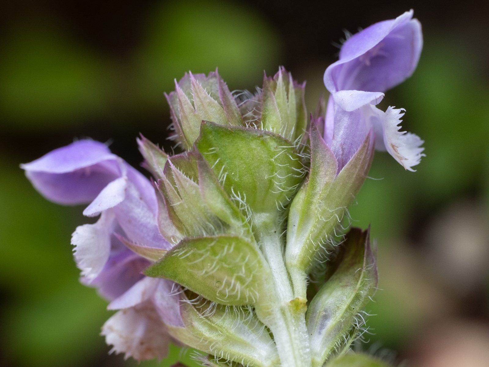 Selfheal